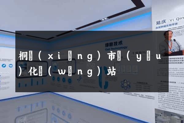 桐鄉(xiāng)市優(yōu)化網(wǎng)站