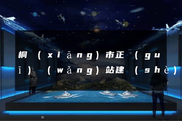 桐鄉(xiāng)市正規(guī)網(wǎng)站建設(shè)公司