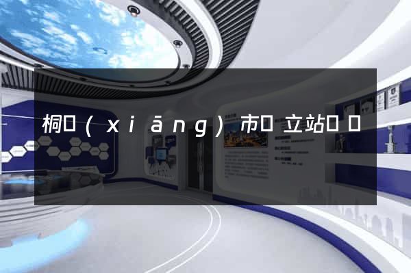桐鄉(xiāng)市獨立站運營