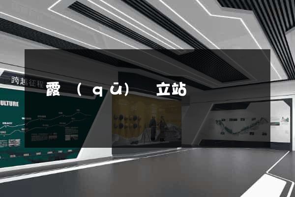 棲霞區(qū)獨立站運營