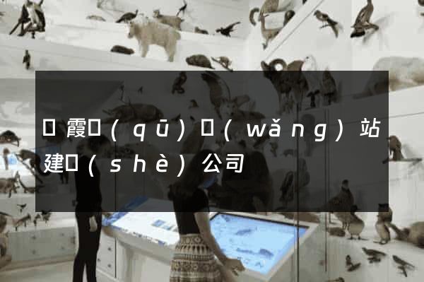 棲霞區(qū)網(wǎng)站建設(shè)公司