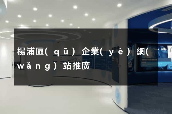 楊浦區(qū)企業(yè)網(wǎng)站推廣