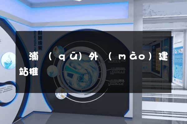 楊浦區(qū)外貿(mào)建站推廣