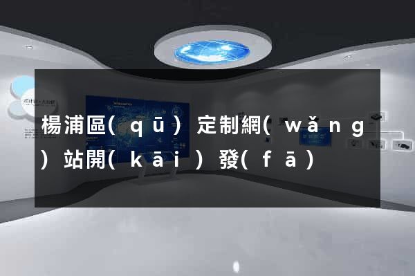 楊浦區(qū)定制網(wǎng)站開(kāi)發(fā)