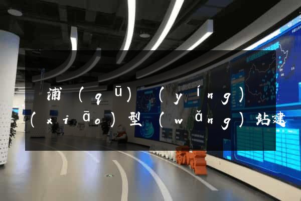 楊浦區(qū)營(yíng)銷(xiāo)型網(wǎng)站建設(shè)