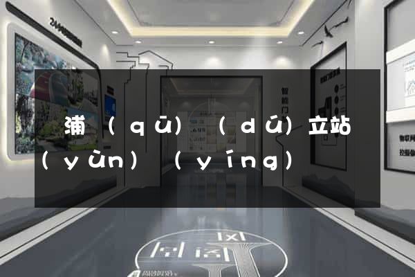楊浦區(qū)獨(dú)立站運(yùn)營(yíng)