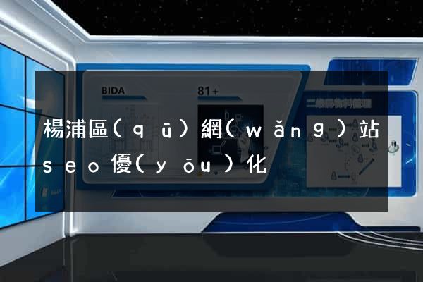 楊浦區(qū)網(wǎng)站seo優(yōu)化