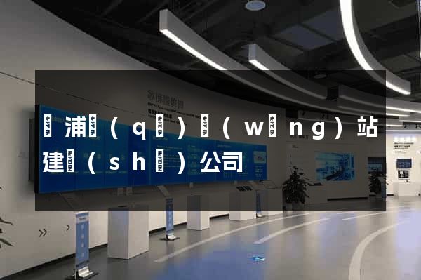 楊浦區(qū)網(wǎng)站建設(shè)公司