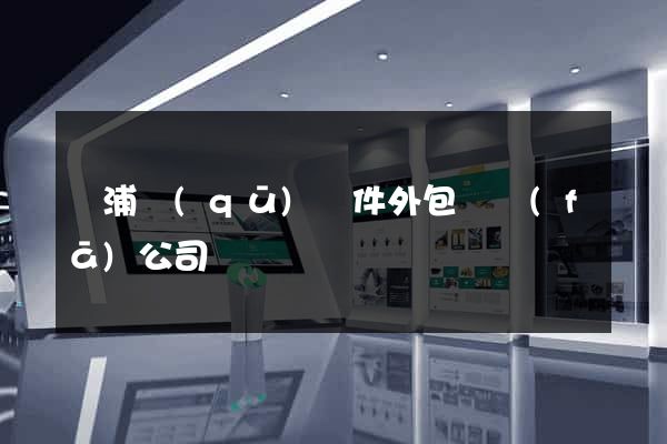 楊浦區(qū)軟件外包開發(fā)公司