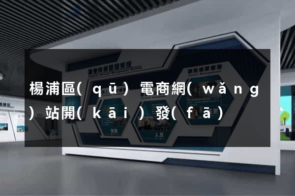 楊浦區(qū)電商網(wǎng)站開(kāi)發(fā)