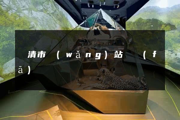 樂清市網(wǎng)站開發(fā)