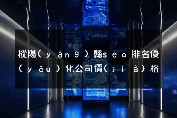 樅陽(yáng)縣seo排名優(yōu)化公司價(jià)格