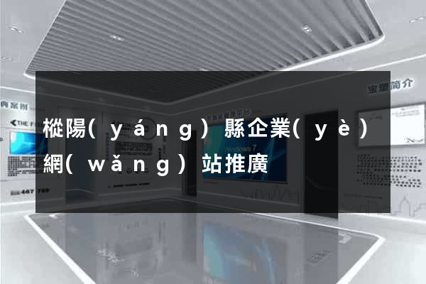 樅陽(yáng)縣企業(yè)網(wǎng)站推廣