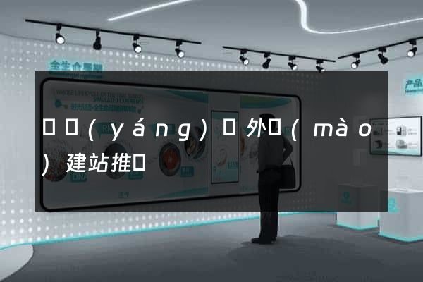 樅陽(yáng)縣外貿(mào)建站推廣