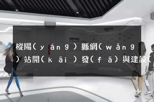 樅陽(yáng)縣網(wǎng)站開(kāi)發(fā)與建設(shè)