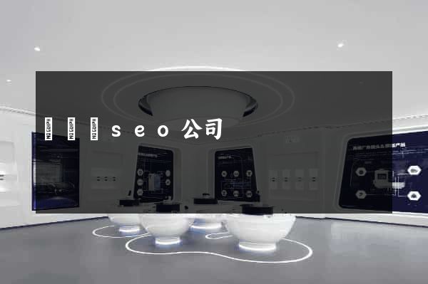 樅陽縣seo公司