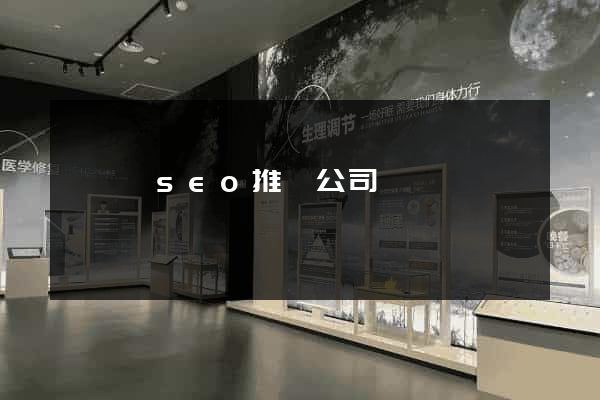 樅陽縣seo推廣公司