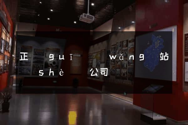 正規(guī)網(wǎng)站設(shè)計公司