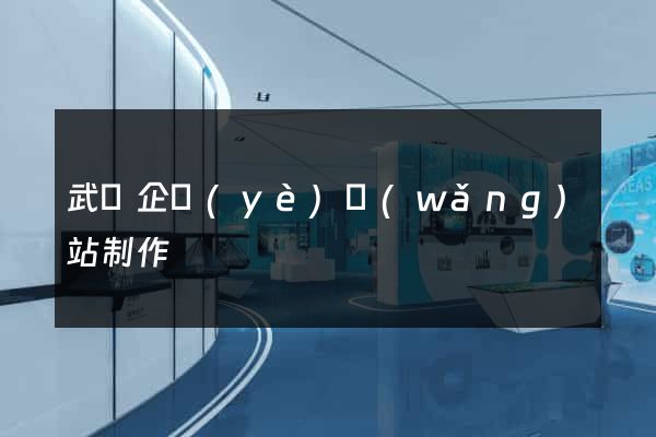 武漢企業(yè)網(wǎng)站制作