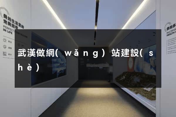 武漢做網(wǎng)站建設(shè)