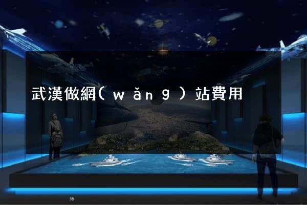 武漢做網(wǎng)站費用