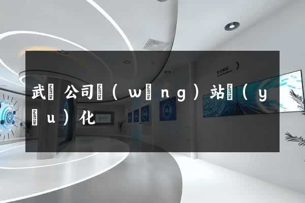 武漢公司網(wǎng)站優(yōu)化