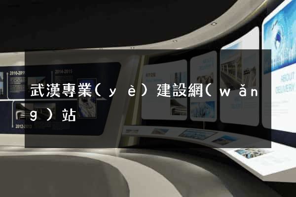 武漢專業(yè)建設網(wǎng)站