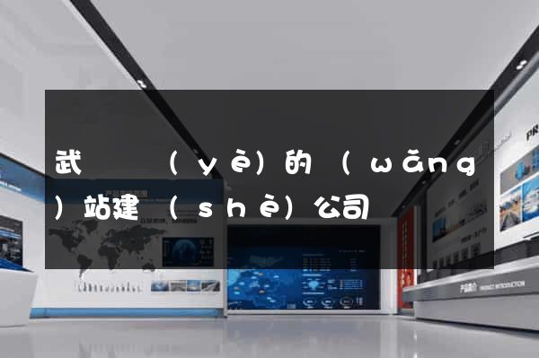 武漢專業(yè)的網(wǎng)站建設(shè)公司