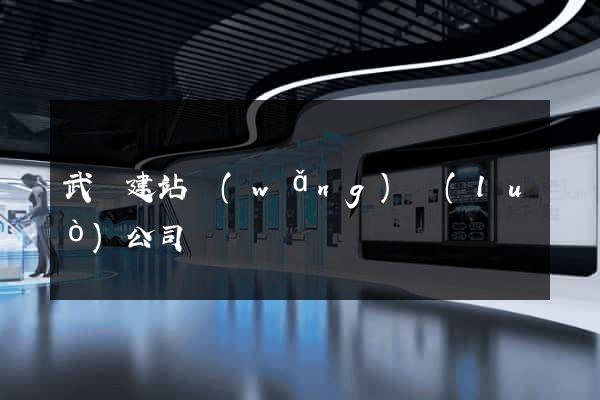 武漢建站網(wǎng)絡(luò)公司