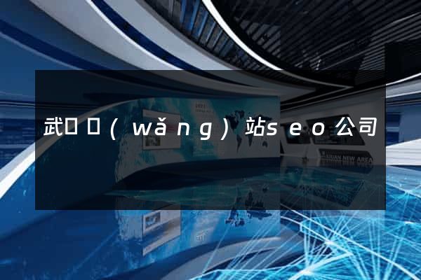 武漢網(wǎng)站seo公司