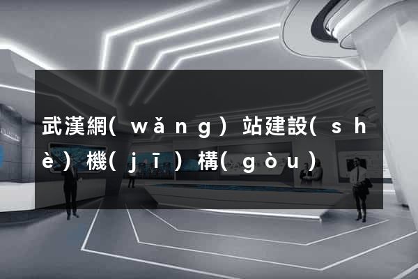 武漢網(wǎng)站建設(shè)機(jī)構(gòu)