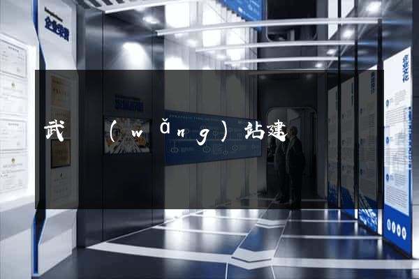 武漢網(wǎng)站建設機構