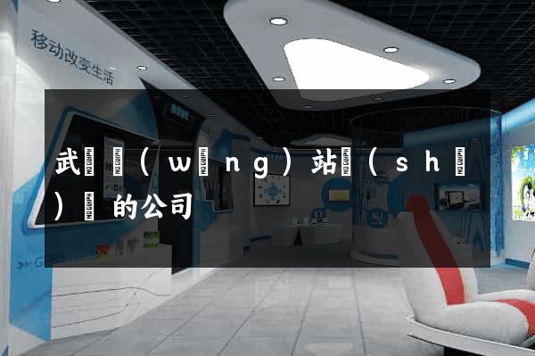 武漢網(wǎng)站設(shè)計的公司