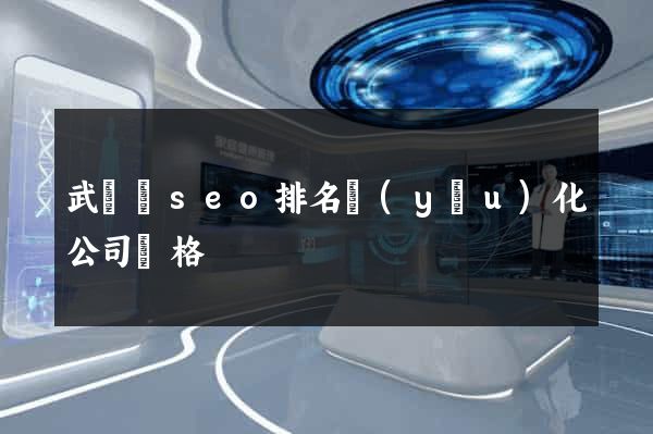 武義縣seo排名優(yōu)化公司價格