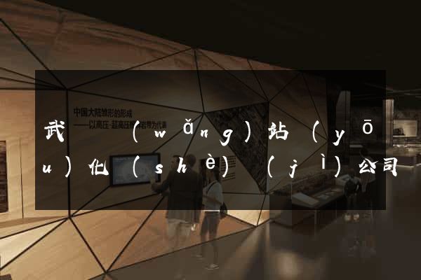 武義縣網(wǎng)站優(yōu)化設(shè)計(jì)公司