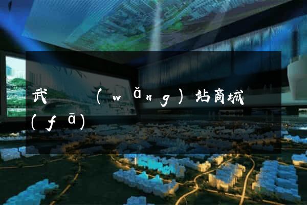 武義縣網(wǎng)站商城開發(fā)