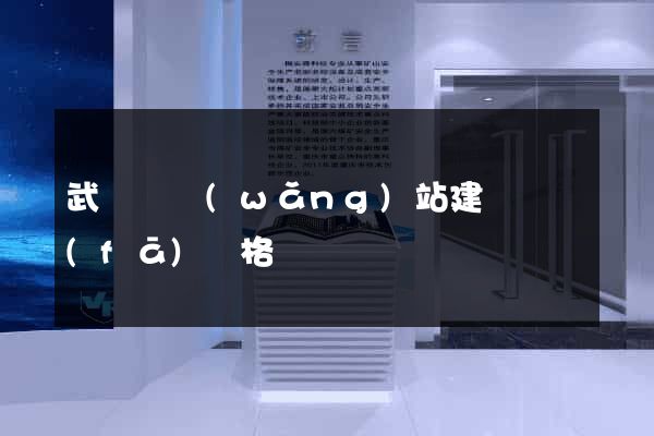武義縣網(wǎng)站建設開發(fā)價格