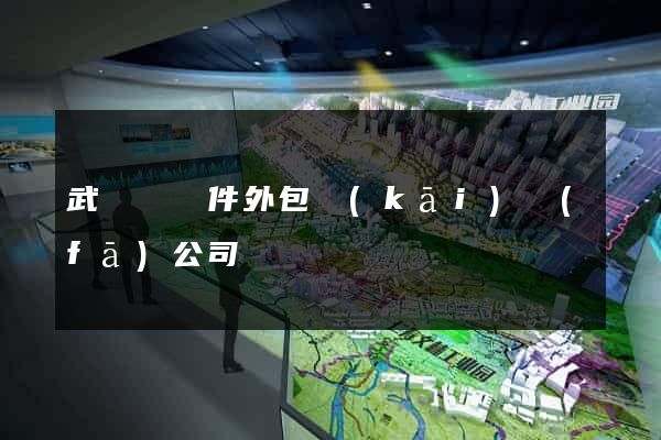 武義縣軟件外包開(kāi)發(fā)公司