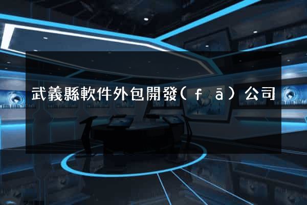 武義縣軟件外包開發(fā)公司