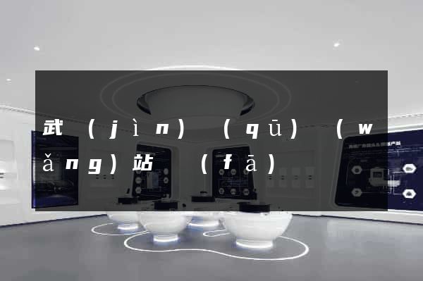武進(jìn)區(qū)網(wǎng)站開發(fā)