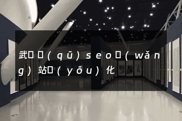 武進區(qū)seo網(wǎng)站優(yōu)化