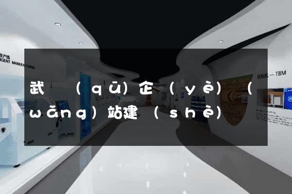武進區(qū)企業(yè)網(wǎng)站建設(shè)