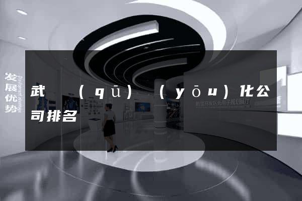 武進區(qū)優(yōu)化公司排名