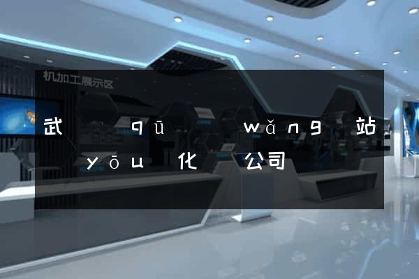 武進區(qū)網(wǎng)站優(yōu)化設計公司