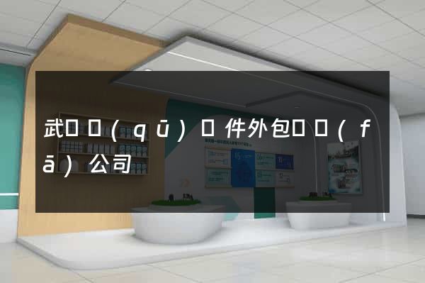 武進區(qū)軟件外包開發(fā)公司