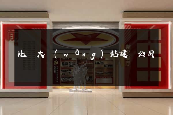 比較大網(wǎng)站建設公司