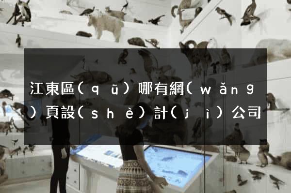 江東區(qū)哪有網(wǎng)頁設(shè)計(jì)公司