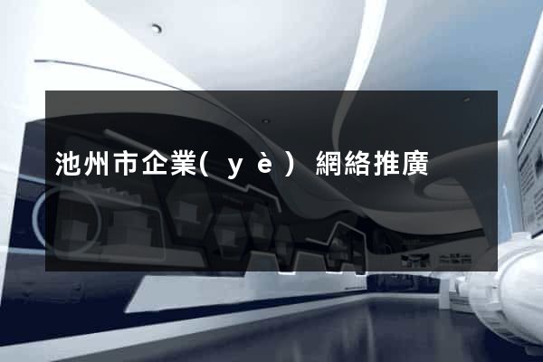 池州市企業(yè)網絡推廣