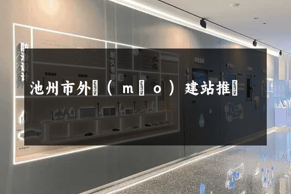 池州市外貿(mào)建站推廣