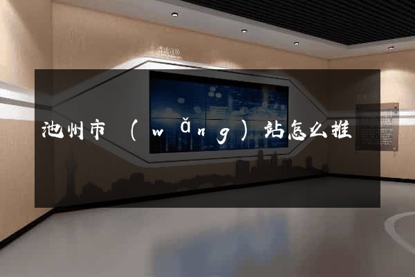池州市網(wǎng)站怎么推廣